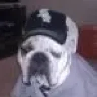 BarleyDaBulldog