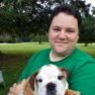 Best bones for deals english bulldogs