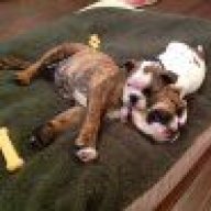 Miss Lola