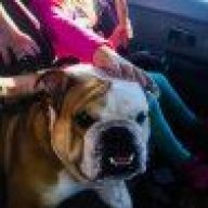 Bvillebully