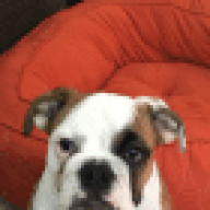 Bailey0109