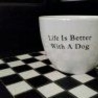 BullieOwner19