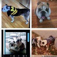 Doc Barry or Barry Bob.