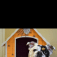 Gunners Mom