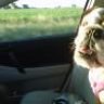 Gizmo