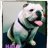 Weberbulldogs