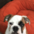 Bailey0109
