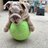OZZYthebully