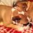 Bulliebrothers