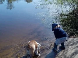 ~ENTER HERE~ Bulldog of the Month Contest ~ Water Bulldogs