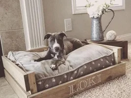 Dogs and their Areas