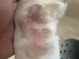 Need advice or if anybody else has seen this