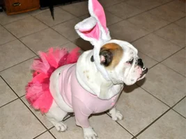 Zoey...Our Little Easter Bunny