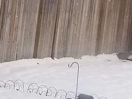Morning Workout