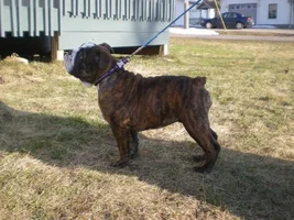 Just a ton of pics of my Ella