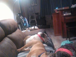 Share your sleepy pics!!!