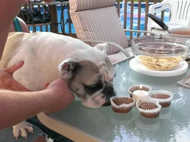 Ruthie's Birthday Party