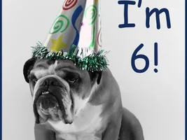 Happy Birthday baby boy!  VegasR turns 6!
