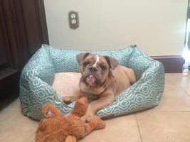 A few pics of Daisy