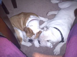 Brooklyn and Franklin Snuggle for the first time!