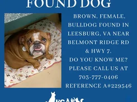 ANYONE LOST AN EB???