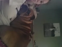 Loki had another seizure :(