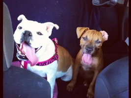 Gracie Lou then and now
