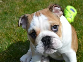 Murray's getting to know his backyard!