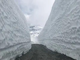 Winter Storm Gia in Maryland
