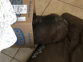 Mackinabox