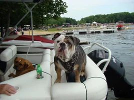 Do you have pictures on display of your bully at work?