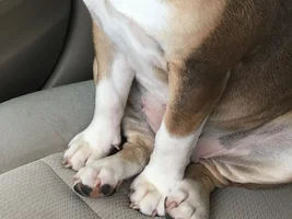 Isn't this how I am supposed to sit?