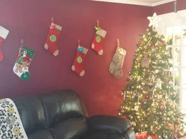 Daily poll: Does your bulldog have their own stocking?