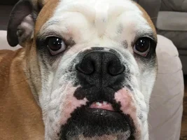 Ready for his closeup