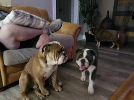 Two peas in a pod!