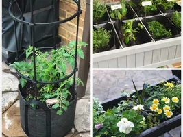 Need Gardening HELP Please