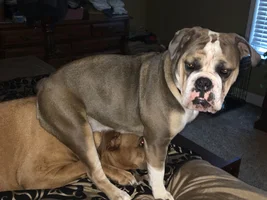 She is a little turd!!