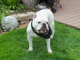 Wrinkles are red and irritated ........