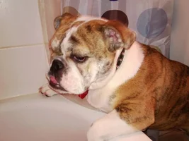 Bath time!
