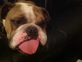 Today's Theme is Thursday Tongues