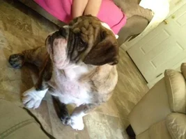 My 5 month old Eb wheight??