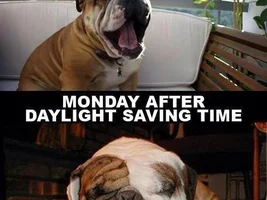 Case of the Monday's