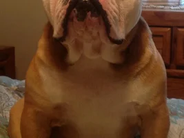 His eyes say "You know Im right."