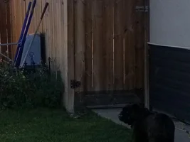 Hey that's our food!