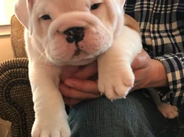 It’s a girl!!!