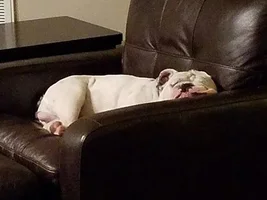 Weird Sleeping Positions
