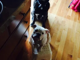 Feed me first please!