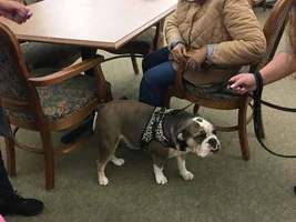 Bella was a hit at the memory care center!