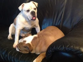 Sweet Sibling Love