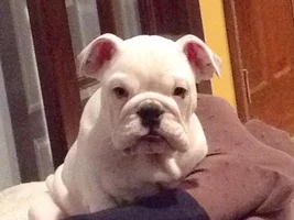 Question about Food